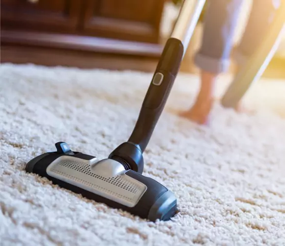 Carpet Cleaning | Jim Stellabuto's Everything Under Foot, Inc.