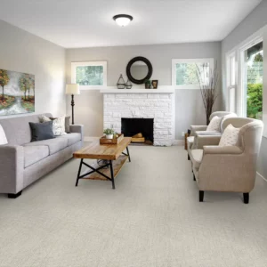 Traditional Carpet | Jim Stellabuto's Everything Under Foot, Inc.