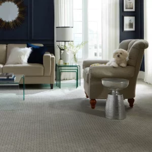 Soft Carpet | Jim Stellabuto's Everything Under Foot, Inc.
