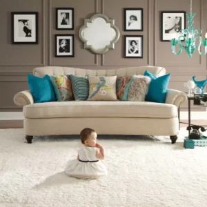 Plush Carpet | Jim Stellabuto's Everything Under Foot, Inc.