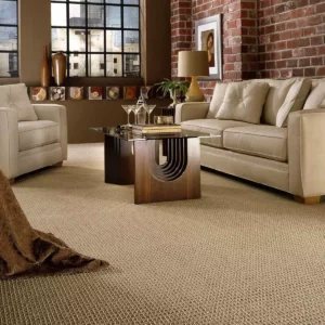 Modern Carpet | Jim Stellabuto's Everything Under Foot, Inc.
