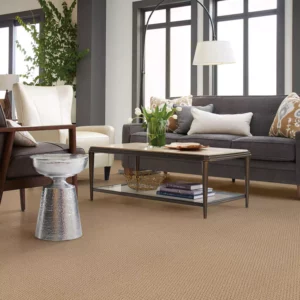 Stylish Carpet | Jim Stellabuto's Everything Under Foot, Inc.