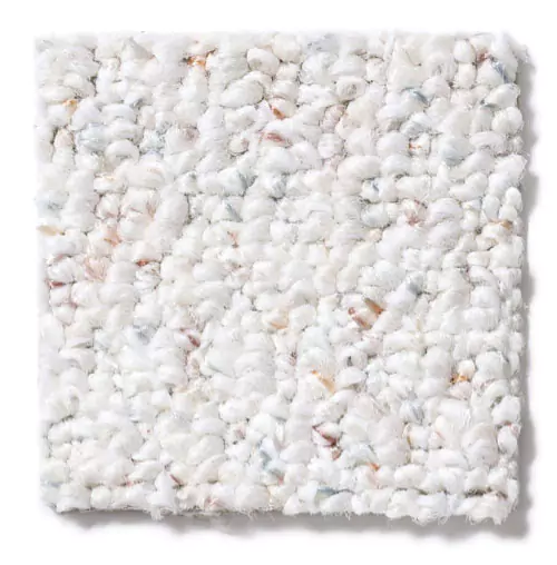 Soft Carpet | Jim Stellabuto's Everything Under Foot, Inc.