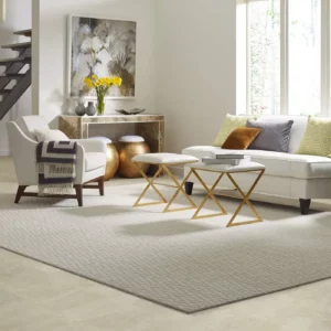 Living Room Area Rug | Jim Stellabuto's Everything Under Foot, Inc