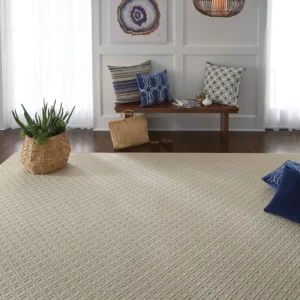 Area Rug | Jim Stellabuto's Everything Under Foot, Inc