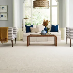 Carpet in living room | Jim Stellabuto's Everything Under Foot, Inc