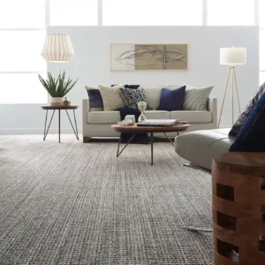 Carpet in a modern living room | Jim Stellabuto's Everything Under Foot, Inc