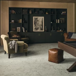 Carpet in a multi-purpose library and game room | Jim Stellabuto's Everything Under Foot, Inc