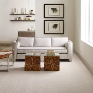 living room Carpet | Jim Stellabuto's Everything Under Foot, Inc