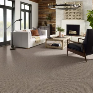 Carpet in a sitting room | Jim Stellabuto's Everything Under Foot, Inc