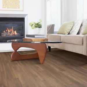 Living area Laminate Flooring | Jim Stellabuto's Everything Under Foot, Inc