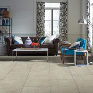 Living Room Tile | Jim Stellabuto's Everything Under Foot, Inc