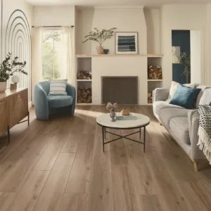 Luxury Vinyl Living Room Flooring | Jim Stellabuto's Everything Under Foot, Inc